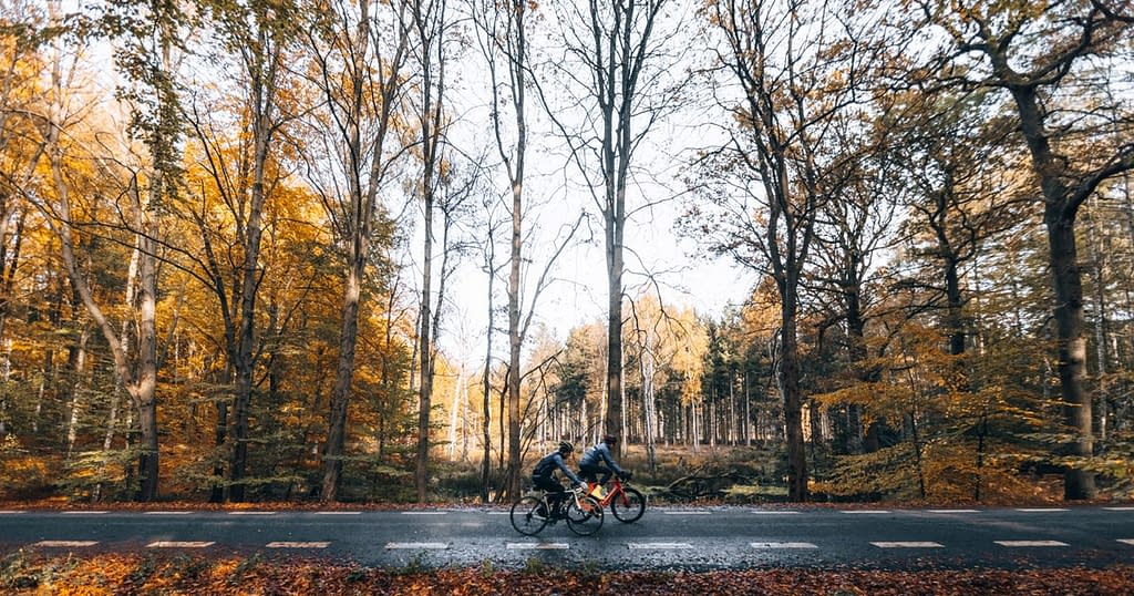 Autostrăzile pentru biciclete, populare în nordul Europei. Cum arată infrastructura în România față de cea din Danemarca