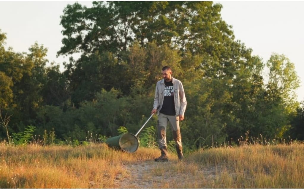 FOTO Au fost descoperite cinci specii noi de coleoptere în România: Cum arată și în ce mediu sunt obișnuite să trăiască