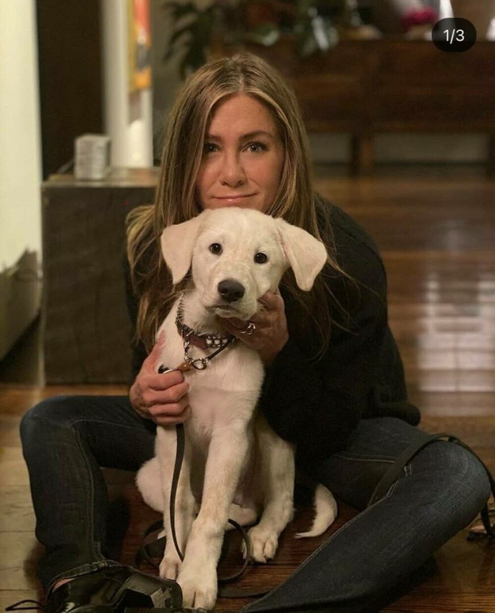 Jennifer Aniston împlinește 56 de ani. Imagini de colecție cu una dintre cele mai iubite actrițe. GALERIE FOTO - Imaginea 29